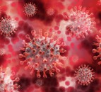 QPP processing plant to temporarily close after Covid-19 outbreak