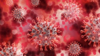QPP processing plant to temporarily close after Covid-19 outbreak