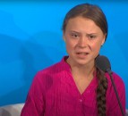 Thunberg criticises UK government for allowing farmers to use pesticides banned by the EU