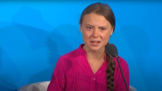 Thunberg criticises UK government for allowing farmers to use pesticides banned by the EU