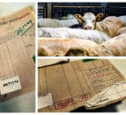 Declassified files: ‘Fish was on the plate, but beef (and BSE) were on the menu’
