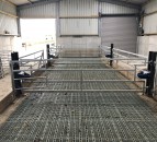 Key considerations to take into account when housing ewes