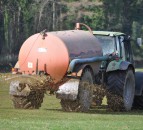 NAP derogation applications and fertilisation account deadline extended in NI
