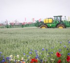 Free early bird tickets on offer for Cereals 2021