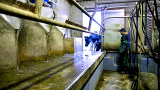 Farming unions give their support to new dairy Code of Conduct