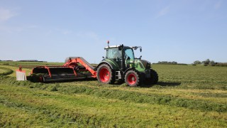 Multi-cut silage could help dairy farms weather the effects of drought