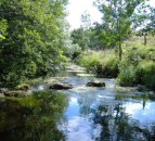 NFU Cymru raises concerns of illegal dumping of untreated sewage after Panorama documentary