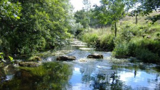 NFU Cymru raises concerns of illegal dumping of untreated sewage after Panorama documentary