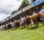 2021 Turriff show cancelled due to 'continued uncertainty' around Covid-19