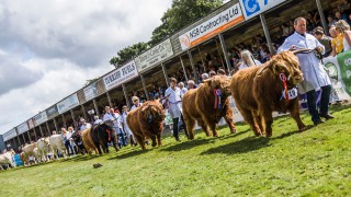 2021 Turriff show cancelled due to ‘continued uncertainty’ around Covid-19