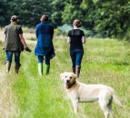 Advice for rural dog owners during Gundog Theft Awareness Week