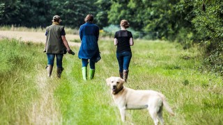 Advice for rural dog owners during Gundog Theft Awareness Week