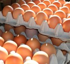 Defra launches egg supply chain review to end 'unfair practices'