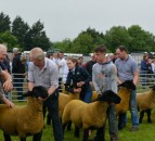 Ballymoney Show becomes the first of NI’s summer shows to cancel for 2021