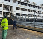 UK set to ban livestock exports after bill is passed