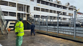 RSPCA welcomes live export ban in King’s Speech