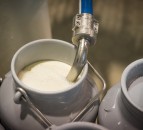 Dairy firms plan to capitalise on vegan and flexitarian trends in Europe