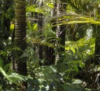 Consultation on Environment Act illegal deforestation provisions opens