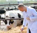 UFU backs calls for UK and EU agri-food standards to be aligned