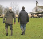 Agricultural Wages Board announces pay increase for NI farm workers