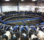 GDT announces first index drop in 9 outings