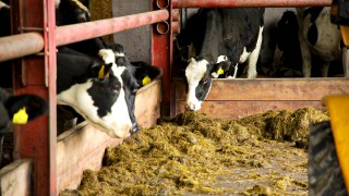 RABDF calls on government to create joined-up emissions policy after methane pledge