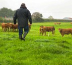 Australian trade deal 'fails to provide lasting assurances' - NFU Scotland