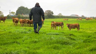 NFU Scotland calls for the separation of agricultural support arrangements