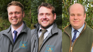 Davidson & Robertson restructures to create dedicated sales team