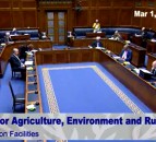 Lyons says ‘uncertainty and matters outside DAERA’s control’ prompted ports decision