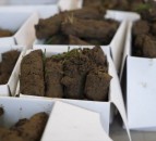 Expansive soil benchmarking project to be rolled out across NI
