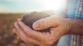 66% of most soils deficient in key nutrients – NRM