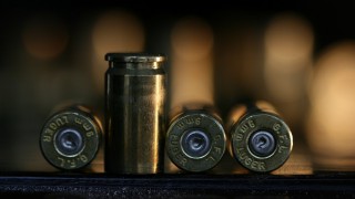 Plans announced to phase out lead ammunition in bid to protect wildlife