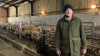 Established sheep breeder wins free NSA membership as part of NSA giveaway