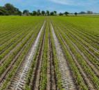 Lemken offers an online configurator for the Azurit 9 seed drill