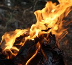 Public urged to take all steps possible to prevent wildfires ahead of lockdown easing