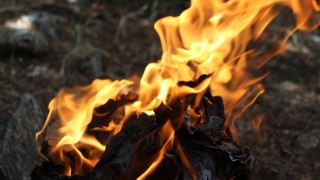 Public urged to take all steps possible to prevent wildfires ahead of lockdown easing