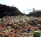 Walmart Foundation funds food waste trials with WRAP