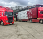 Live exports: Over 80% rise in cattle exported to Northern Ireland in 2021
