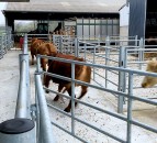FFA: Firm date needed for TB action