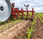 ‘Space to grow’: Steketee sees 30% increase in sales for 2020