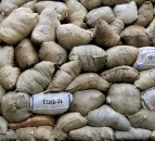 'Disappointing' prices for British Wool members