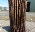 Fuel filter blocking must be addressed 'once and for all' - NFU Scotland