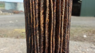 Fuel filter blocking must be addressed ‘once and for all’ – NFU Scotland