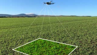 Drone crop scouting app to be demonstrated at Cereals for the first time