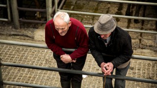 35% of English and Welsh farmers possibly/probably depressed