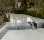 Welsh river turned white as milk tanker overturns and spills milk into the river