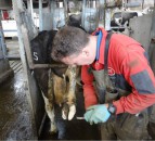 CAFRE advisory body seeks new chairperson and dairy rep