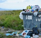 BVA warns the public of the impact litter has on animal health