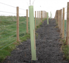 Could you be one of NI’s first Environmental Technology Farms?